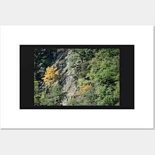 Bodetal, rock, cliff, cliff, Thale, Harz, Germany, autumn Posters and Art